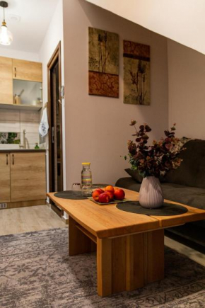 Studio Aries Postavarului, Braşov